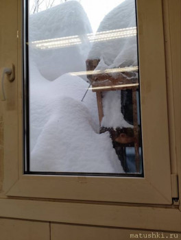 А что у нас с погодой? -6 - photo_2026-01-28_10-59-17.jpg