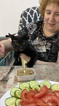 Любимая кошатинка  - IMG_20260201_155354_326.jpg