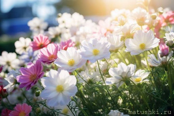 Поздравляем Lvёнок с днем рождения  - bunch-flowers-that-are-garden_1197675-8477.jpg