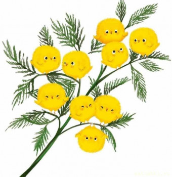 Поздравляем Даренку с днем рождения  - IMG_20250411_203403.jpg