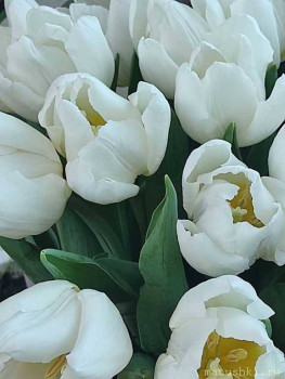 Факел, с днем рождения  - -5222467640104784857_121.jpg