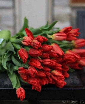 Катю-Иасамани с днём рождения  - 0Uz04h7s8yU.jpg