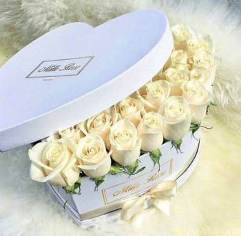 Катю-Иасамани с днём рождения  - images (4).jpeg