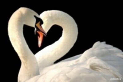 Исполнитель желаний - Копия (2) zAo2om.jpg