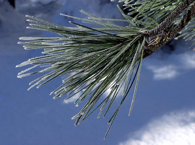 А что у нас с погодой? - 13YO.jpg