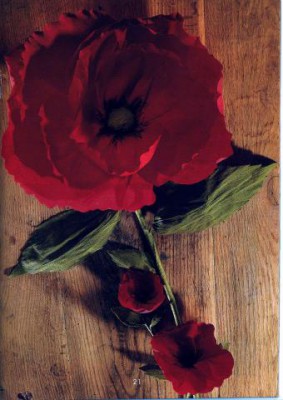 Цветы из декоративной бумаги - мак.jpg