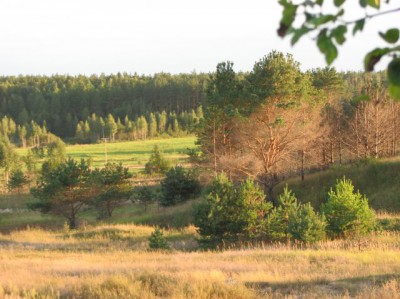 Красота мира - отражение Бога - IMG_0431.JPG