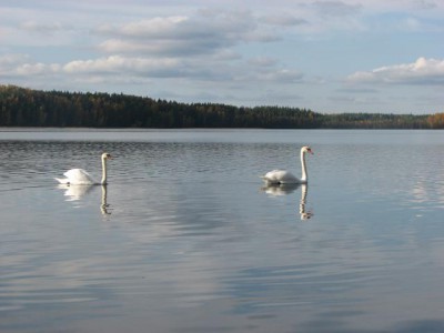 Красота мира - отражение Бога - IMG_0693.JPG