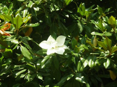 Красота мира - отражение Бога - Изображение 104.jpg