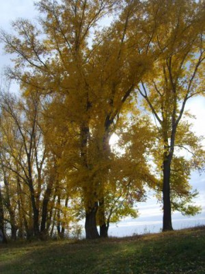 Красота мира - отражение Бога - S8305335.JPG