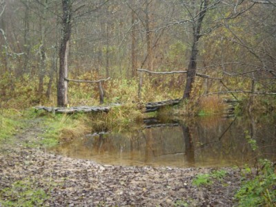 Красота мира - отражение Бога - x_69105a08.jpg