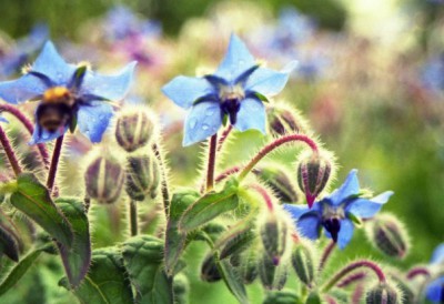 Красота мира - отражение Бога - x_7a4355cc.jpg