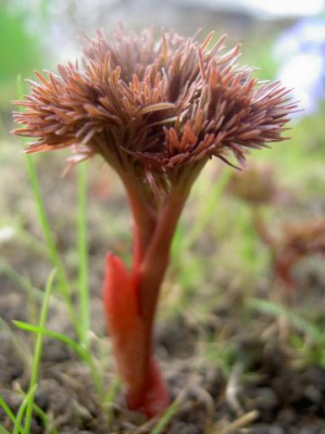 Красота мира - отражение Бога - x_83c2c838.jpg