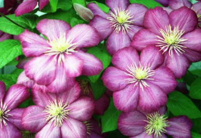 Красота мира - отражение Бога - x_dbe05e49.jpg