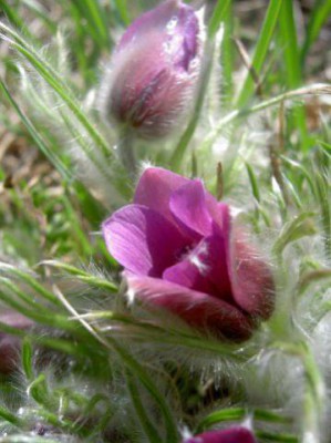 Красота мира - отражение Бога - x_c5b09207.jpg