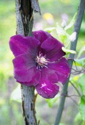 Красота мира - отражение Бога - x_138c77ef.jpg