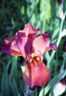 Красота мира - отражение Бога - x_53e0a98e.jpg