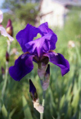 Красота мира - отражение Бога - x_ae82d7cb.jpg