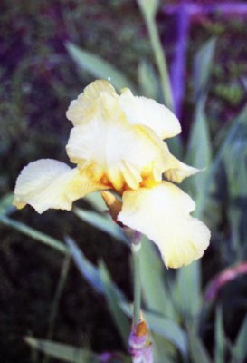 Красота мира - отражение Бога - x_5b18d6ea.jpg