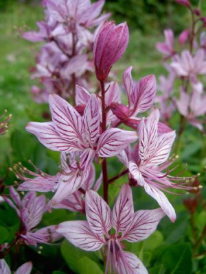 Красота мира - отражение Бога - Изображение 069.jpg