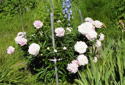 Красота мира - отражение Бога - img454.jpg