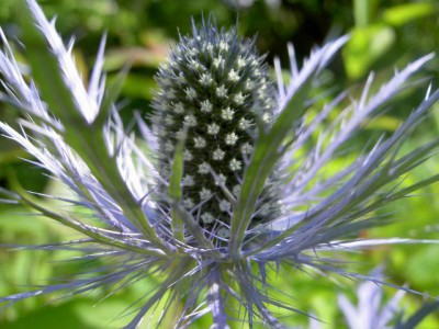 Красота мира - отражение Бога - Изображение 108.jpg