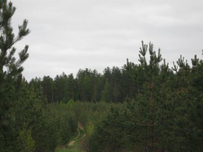 Красота мира - отражение Бога - IMG_0155.JPG