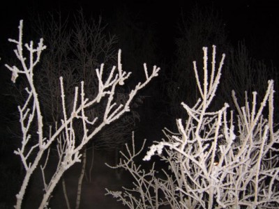 Красота мира - отражение Бога - S8306020.JPG