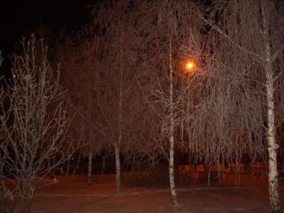 Красота мира - отражение Бога - S8306019.JPG