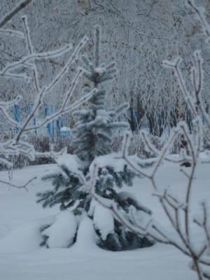 Красота мира - отражение Бога - S8306082.JPG