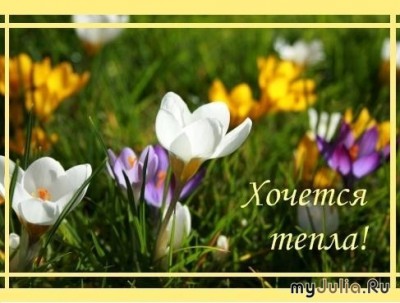 А что у нас с погодой? - Хочется тепла.jpg