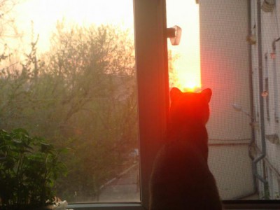 А что у нас с погодой? - Изображение 620.jpg