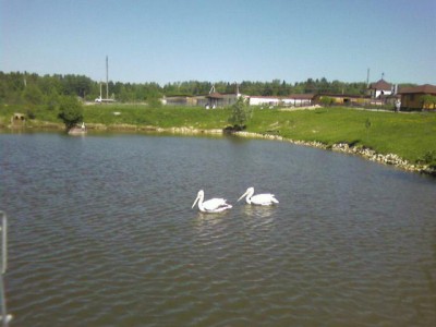 Экзотические животные - Photo-0017.jpg