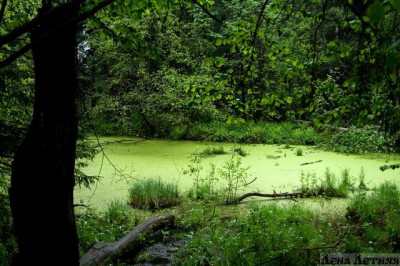 Изобразительное искусство - 1880 место аленушки.jpg