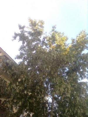 А что у нас с погодой? - Изображение 165.jpg