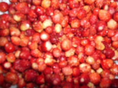 Исполнитель желаний - земляничка.jpg