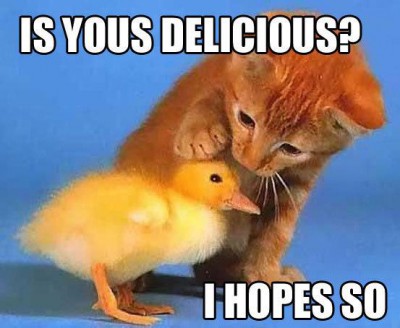 Банк праздничных аватарок, открыток, картинок - С праздником тебя, дорогая Сэнди - днем согласия и примирения!.jpg