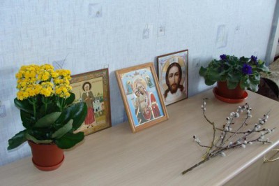 Re: Наши цветы - DSC05099.JPG