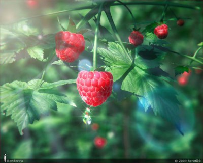 Исполнитель желаний - Ягода малина.jpg