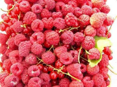 Онлайн меню на каждый день - SANY2003.JPG