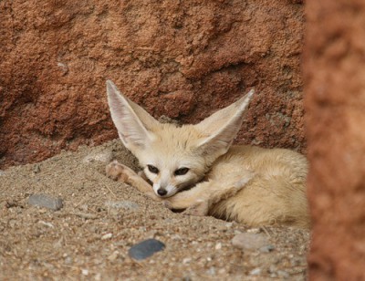 АВАТАРКИ банк аватарок и картинок для них  - korea79_301139_L.jpg