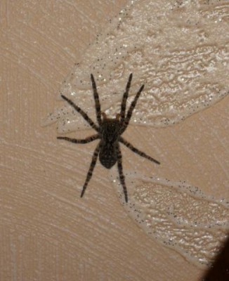 Шок 3 - SDC12350.JPG