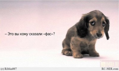 Какие мы?  - file.php_id=1514086000a46e0eb810a5c41b78d4feeea776374f.jpeg