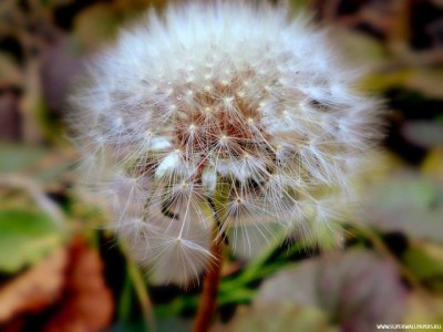 Какие мы?  - 58.jpg