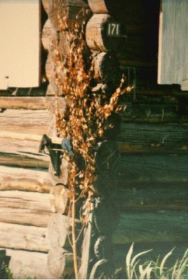 Христианские праздники в фольклоре - фольк.JPG