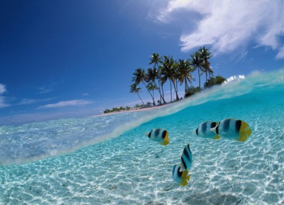 ПРО аватарки обсуждение -2 - 1239635077_pic_id125985.jpeg