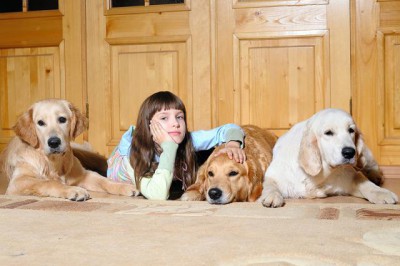 Они прекрасны и удивительны Из жизни животных. - ретр..jpeg