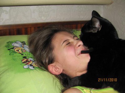 Кто там любит кошек? - IMG_0259.jpg