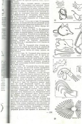 Карнавальные костюмы - kaRnava2l.jpg