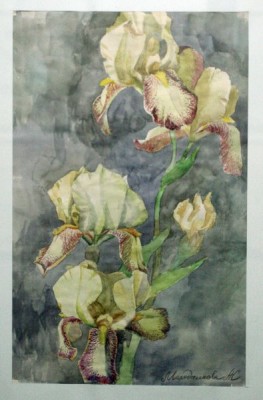 А рисунок можно показать? - 1753515.jpg